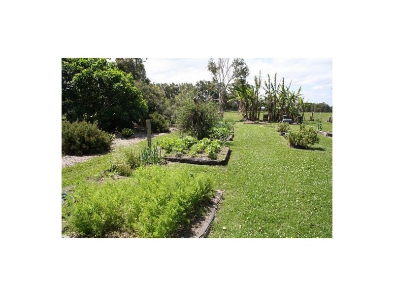 Oxley Island NSW 2430