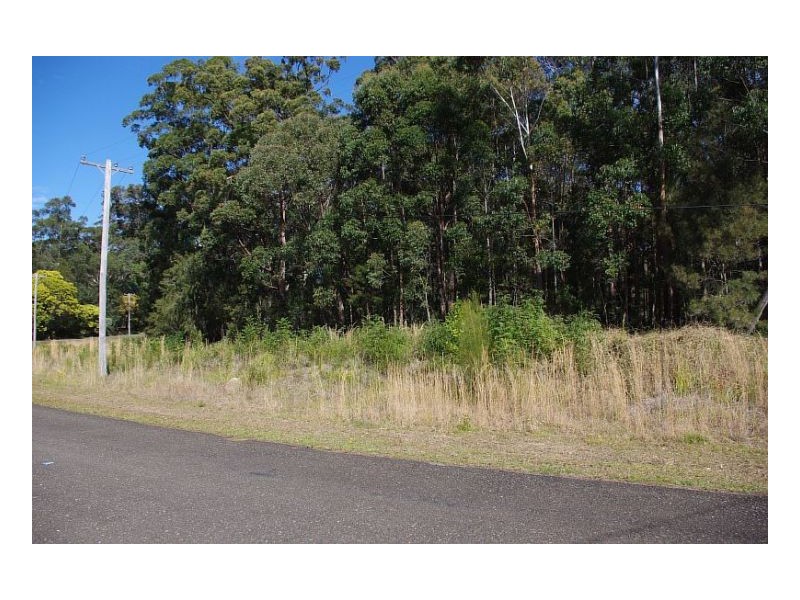 20 Rainforest Drive, Mitchells Island NSW 2430