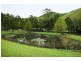 384 Jems Creek Road, Cobark NSW 2422