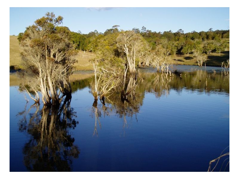 95 Beauly  Road, Tinonee NSW 2430