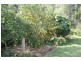 5 Eucalypt Close, Old Bar NSW 2430