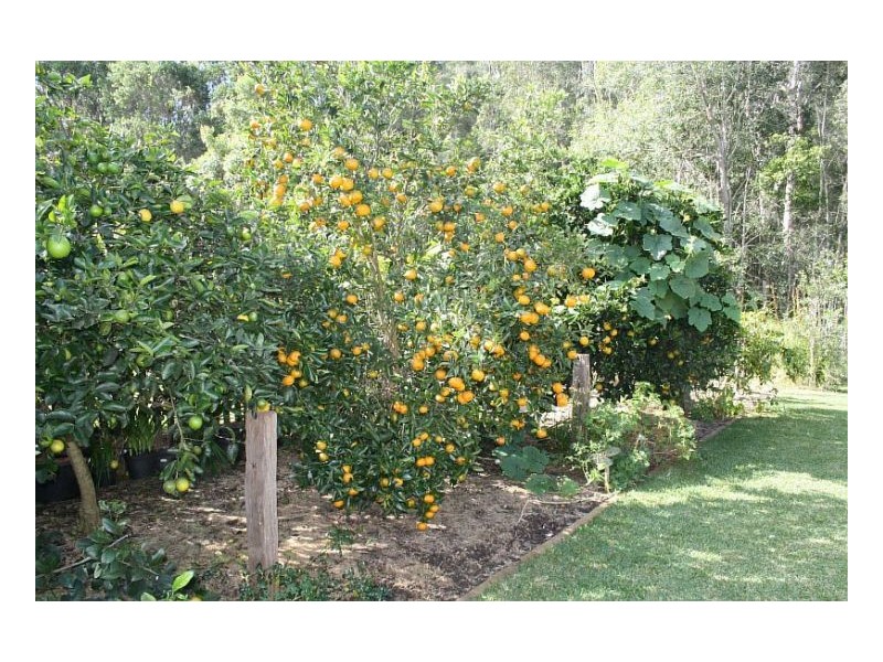 5 Eucalypt Close, Old Bar NSW 2430