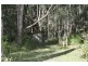 5 Eucalypt Close, Old Bar NSW 2430