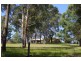 164 Factory Road, Mitchells Island NSW 2430