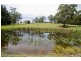 164 Factory Road, Mitchells Island NSW 2430