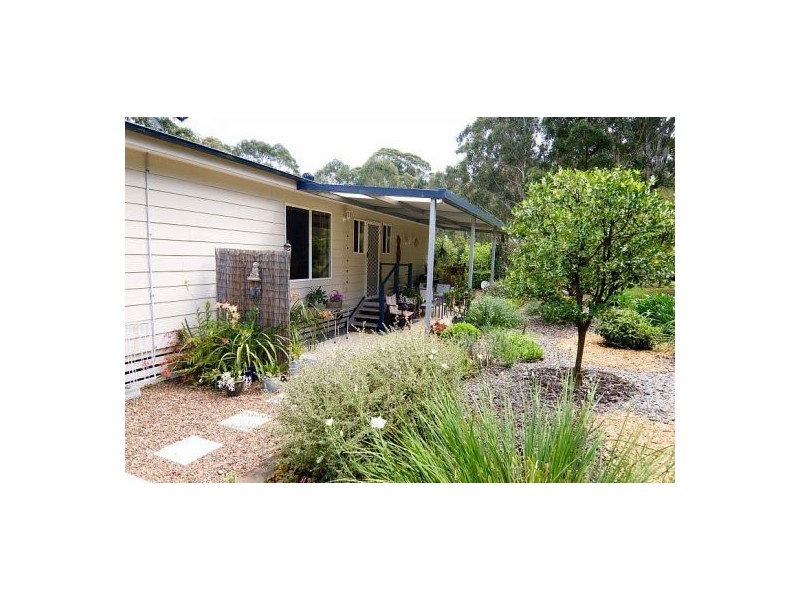 Mitchells Island NSW 2430