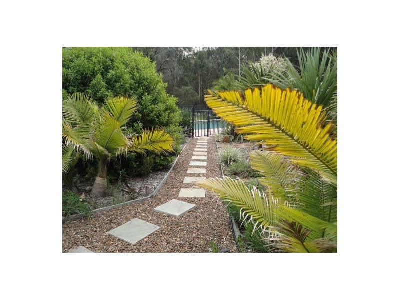 Mitchells Island NSW 2430