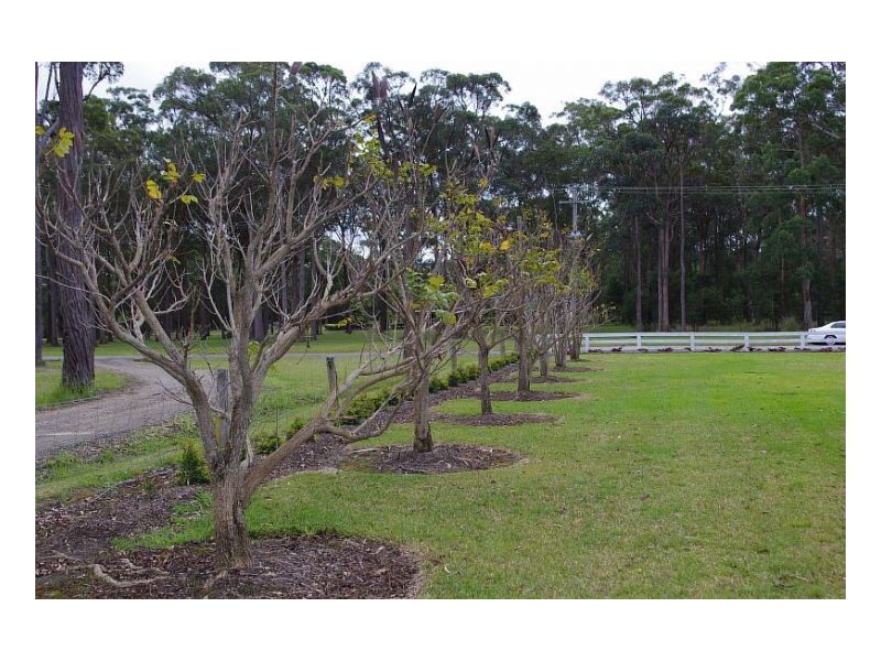 16 South Heron Road, Old Bar NSW 2430