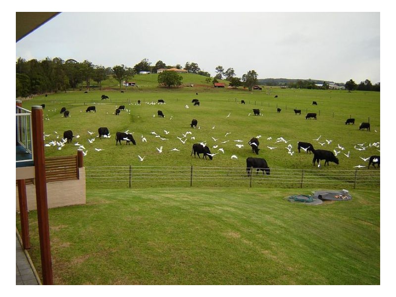 71 Ruprechts Road, Mitchells Island NSW 2430