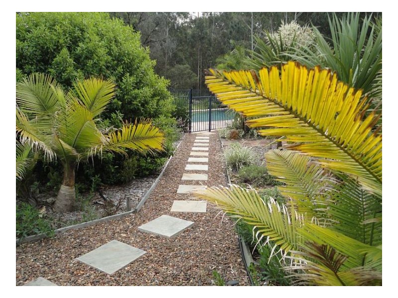 7 Rainforest Dr, Mitchells Island NSW 2430