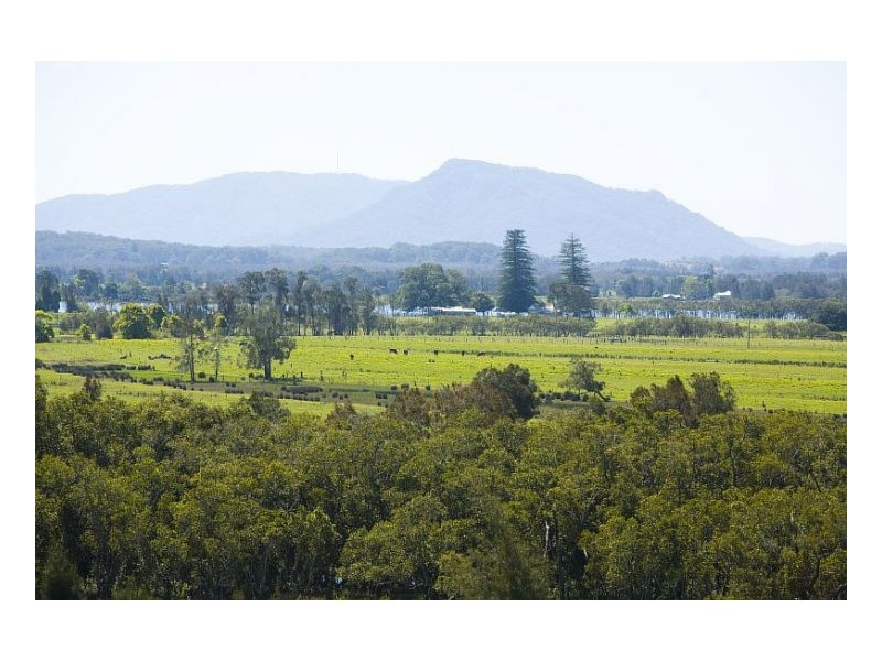 106 Beal Avenue, Mitchells Island NSW 2430