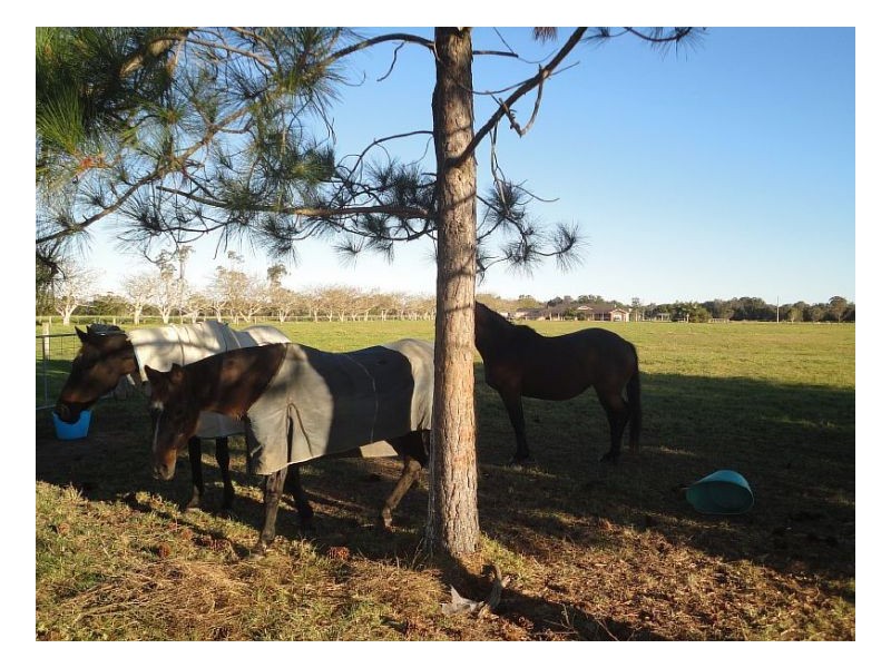 808 Manning Point Road, Oxley Island NSW 2430