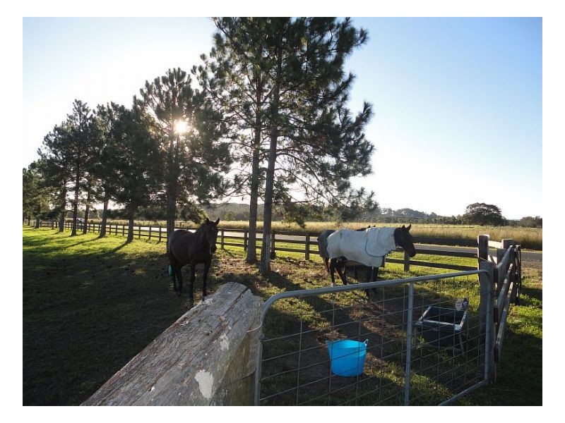 808 Manning Point Road, Oxley Island NSW 2430