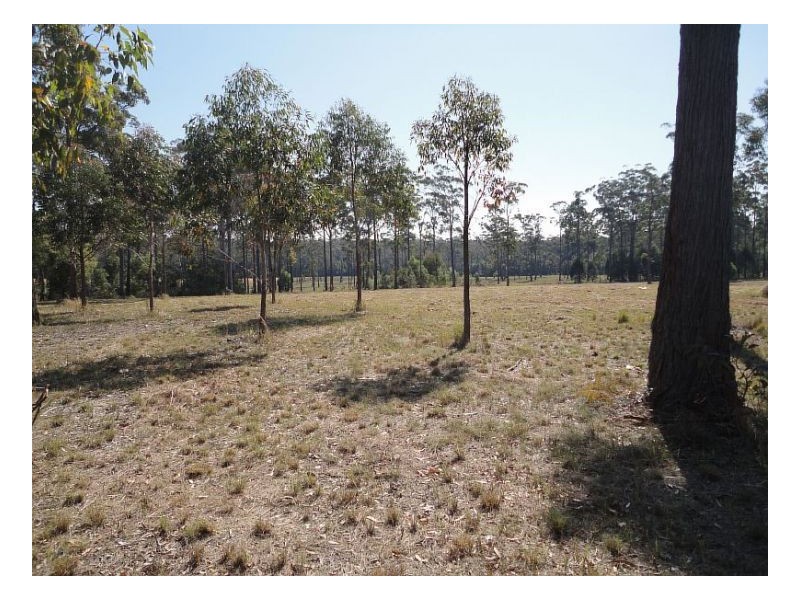 17 Peets Avenue, Wallabi Point NSW 2430