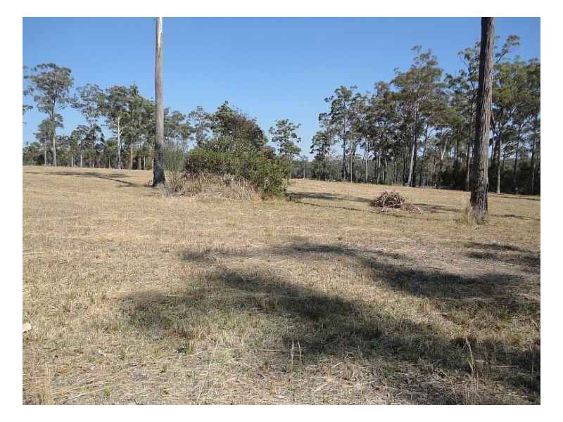 17 Peets Avenue, Wallabi Point NSW 2430