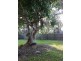 29 Lewis Street, Old Bar NSW 2430