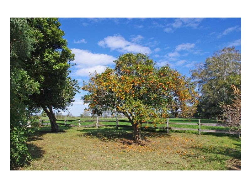Oxley Island NSW 2430