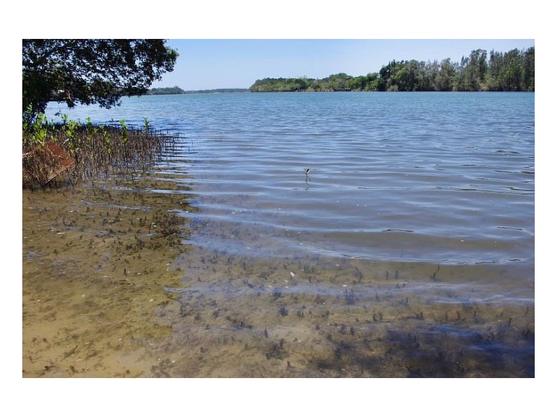 25 Thomas Lane, Oxley Island NSW 2430