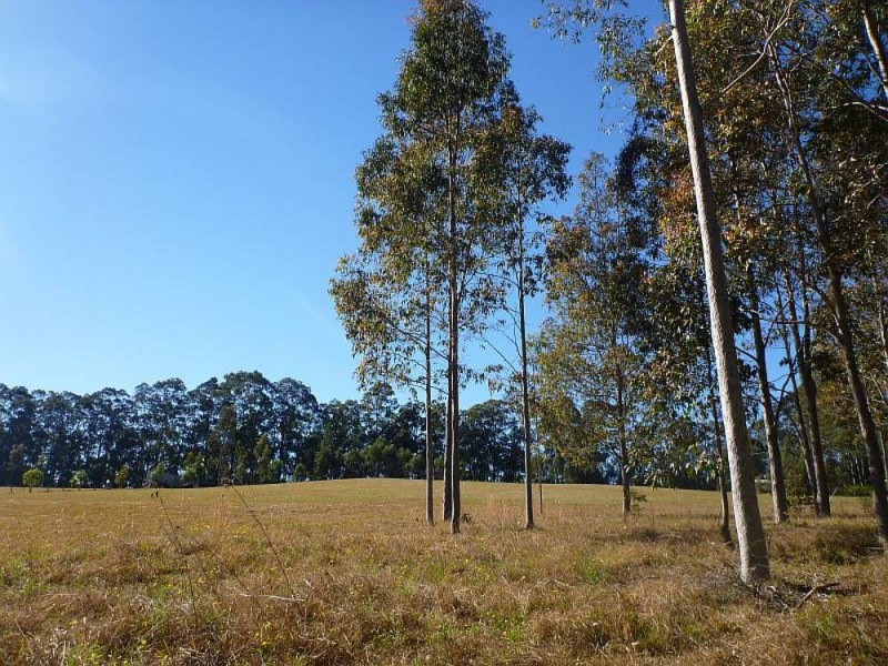 86 Bull Hill Rd, Tinonee NSW 2430