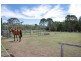 19 Wilga Road, Pampoolah NSW 2430