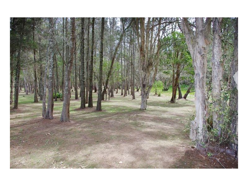 19 Wilga Road, Pampoolah NSW 2430