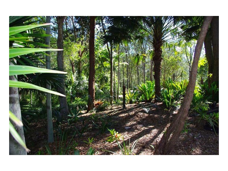 786 Tinonee Road, Mondrook NSW 2430