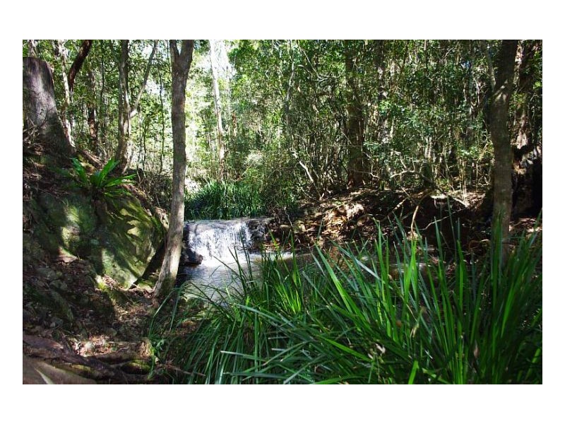 786 Tinonee Road, Mondrook NSW 2430