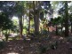 786 Tinonee Road, Mondrook NSW 2430