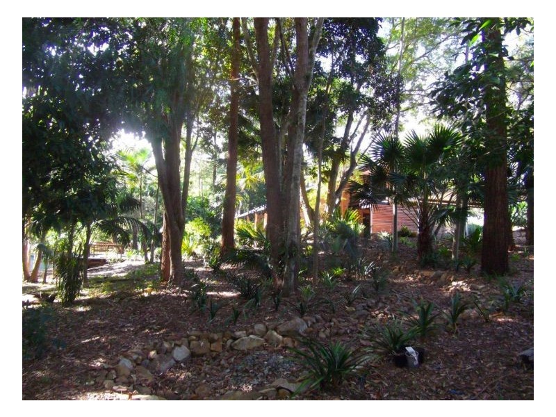 786 Tinonee Road, Mondrook NSW 2430