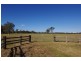 550 Manning Point Road, Oxley Island NSW 2430