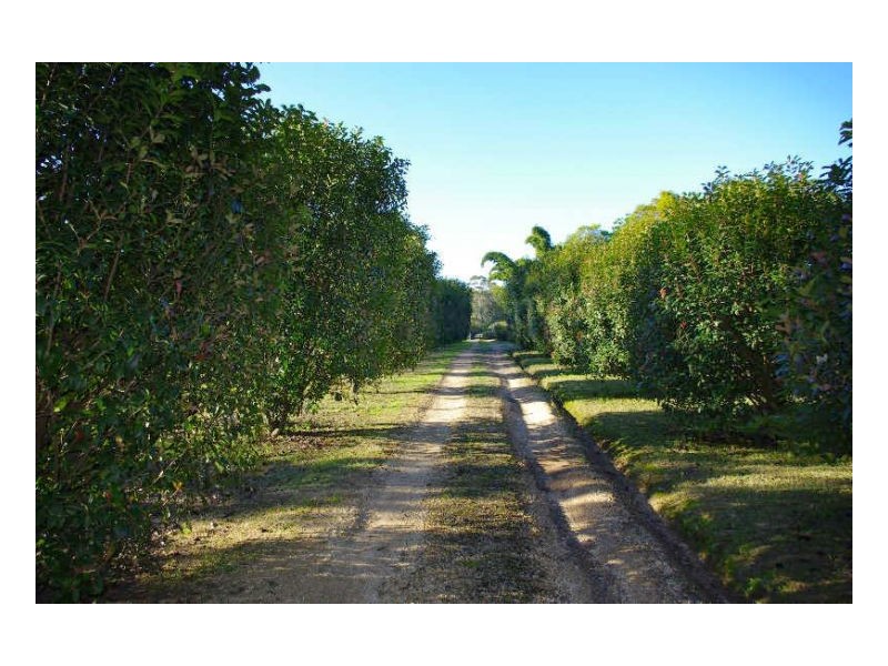 506 Half Chain Road, Koorainghat NSW 2430