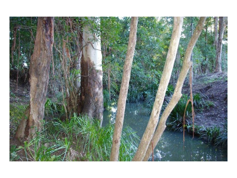 506 Half Chain Road, Koorainghat NSW 2430