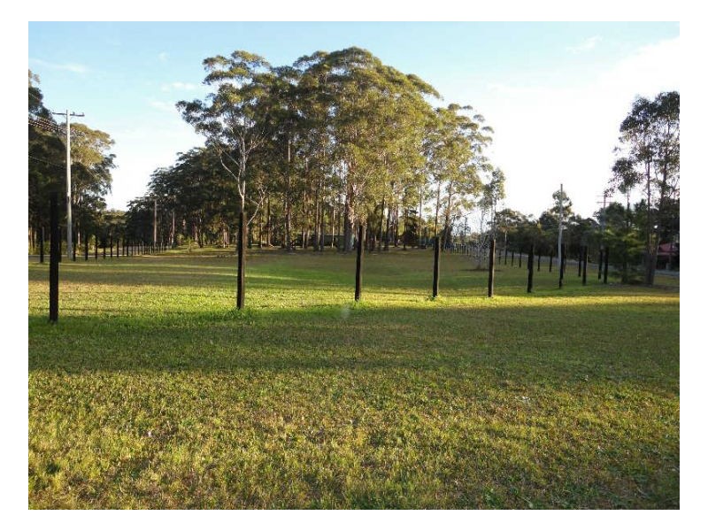2 Voss Place, Mitchells Island NSW 2430