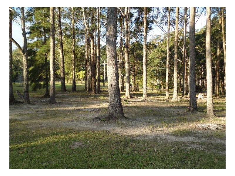 2 Voss Place, Mitchells Island NSW 2430