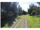 46 Cowans Lane, Oxley Island NSW 2430