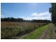 46 Cowans Lane, Oxley Island NSW 2430
