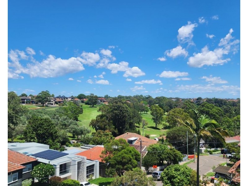 2A Virginia Avenue, Bardwell Valley NSW 2207