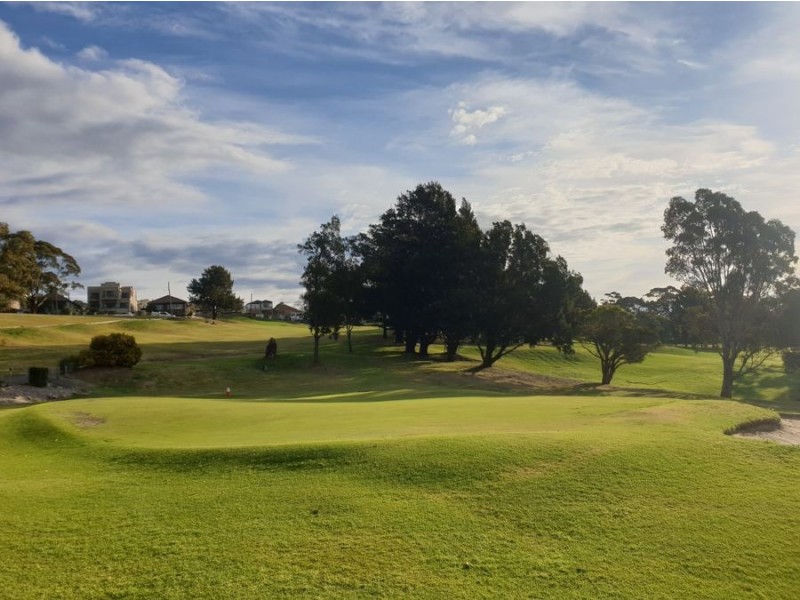 53 Sackville Street, Bardwell Valley NSW 2207