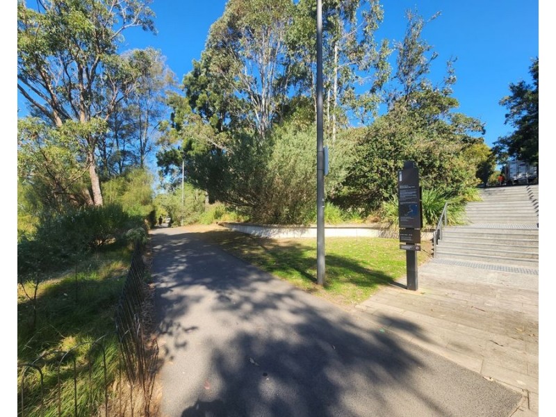 13/19-23 Stewart Street, Glebe NSW 2037