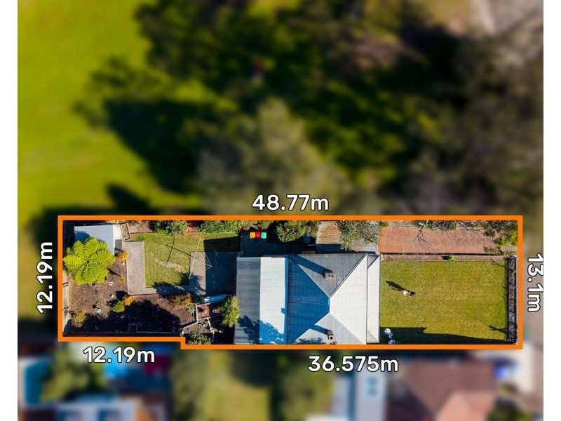 50 Hannam Street, Bardwell Valley NSW 2207