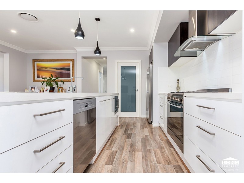 14 Carnival Close, Windella NSW 2320