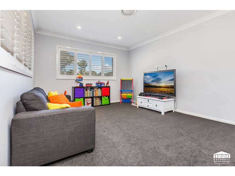 14 Carnival Close, Windella NSW 2320