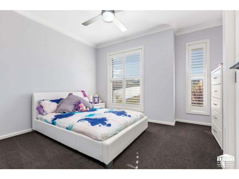 14 Carnival Close, Windella NSW 2320