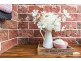 21 Beverley Crescent, New Lambton Heights NSW 2305