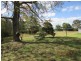 2 Nelson Street, Greta NSW 2334
