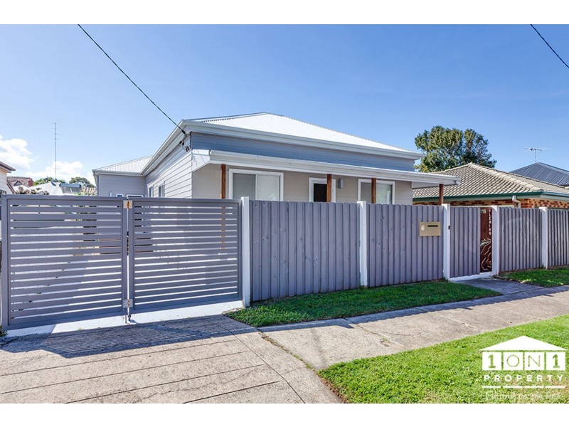 119 Fleming Street, Islington NSW 2296