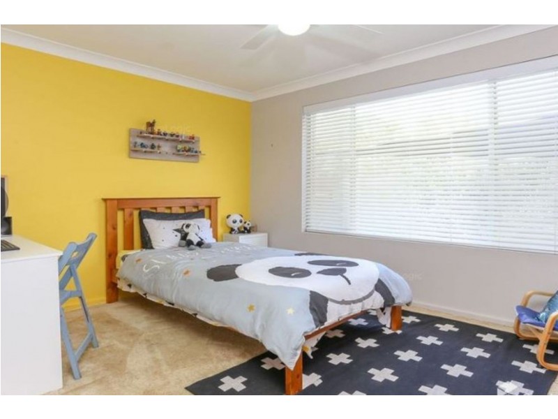 17 Walsh Street, Rutherford NSW 2320