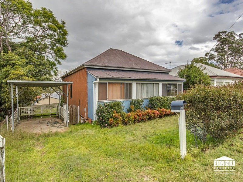 73 Maize Street, Tenambit NSW 2323