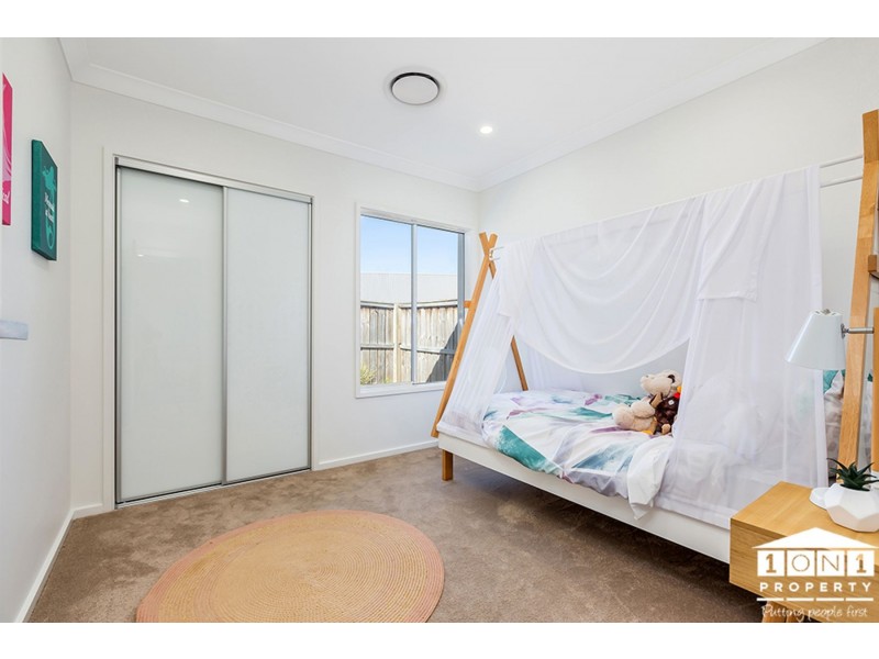 4 Longtail Street, Chisholm NSW 2322