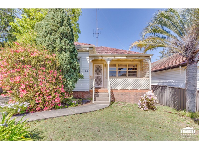 65 Michael Street, North Lambton NSW 2299